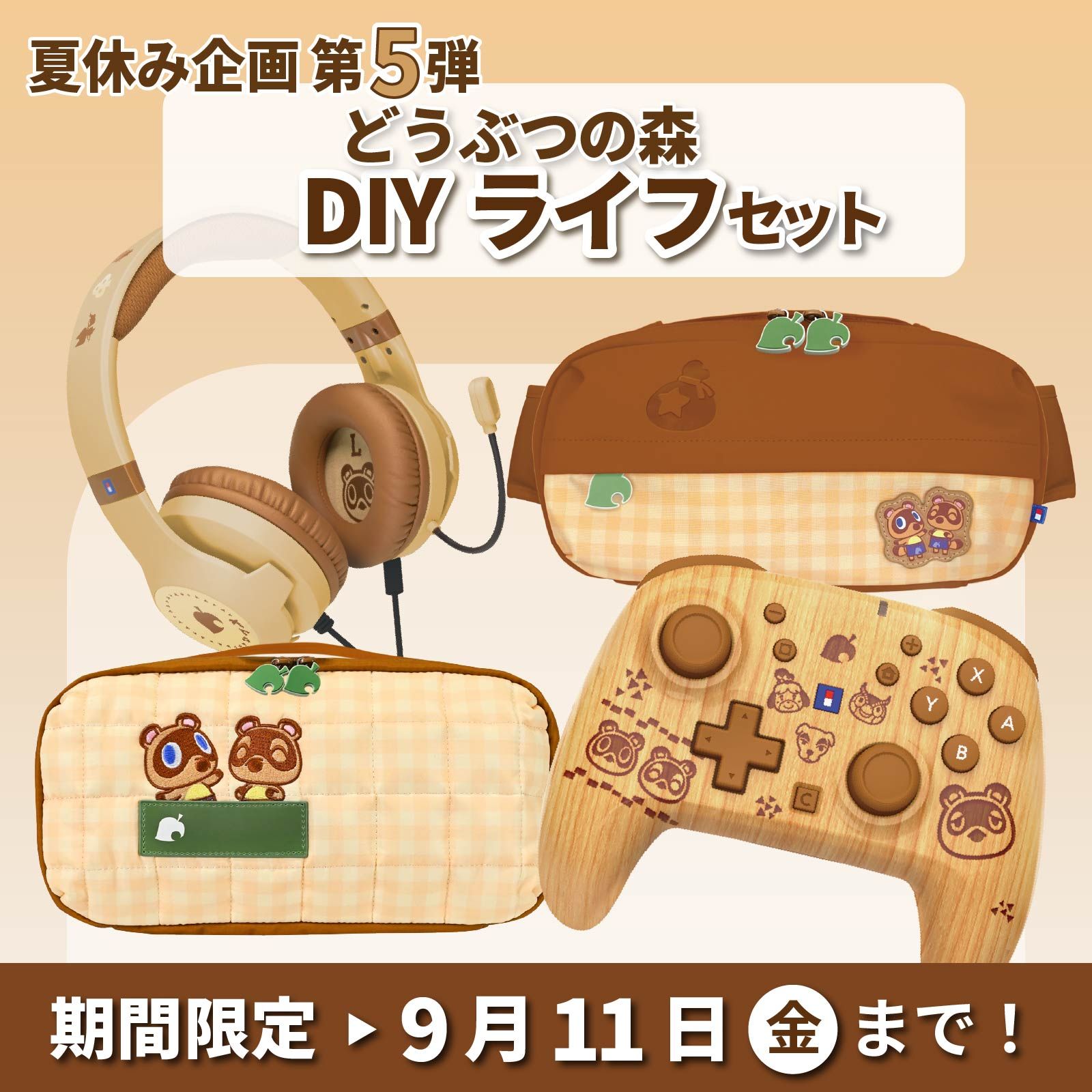  ★ホリストア限定夏休み企画★ どうぶつの森 DIYライフ＋2,500ポイントセット
